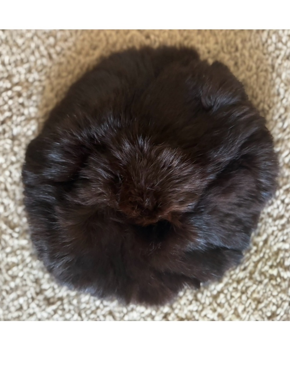 Princess Caravelle Authentic Rabbit Fur Coat - Picture 5 of 12